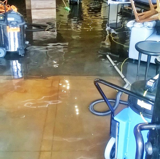 Mold Remediation Honolulu: Wilney Smith