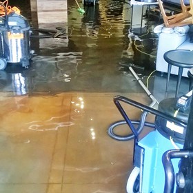 Mold Remediation Honolulu: Wilney Smith